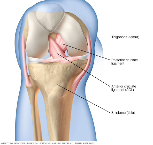 knee-arthroscopy-img-01